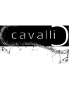 Manufacturer - Cavalli